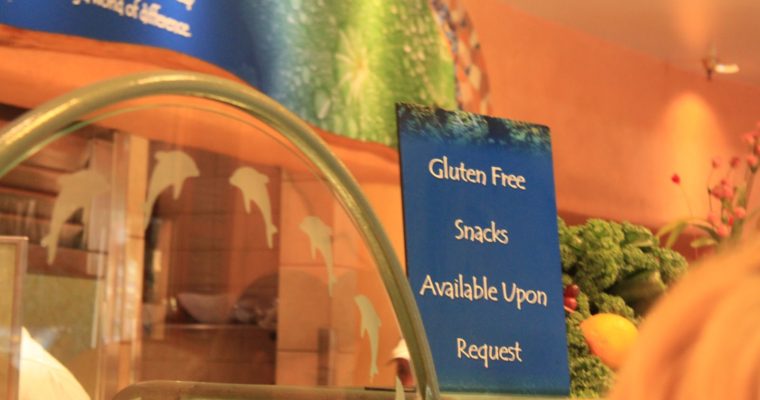Discovery Cove and Seaworld gluten free dairy free